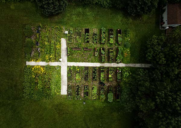 environnement-drone-jardin